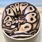 ユーザー画像