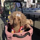 ユーザー画像