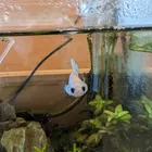 ユーザー画像