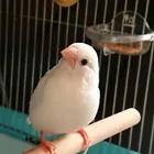ユーザー画像