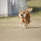 ユーザー画像