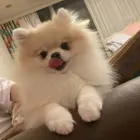 ユーザー画像