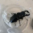 ユーザー画像