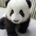 ユーザー画像