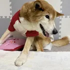 ユーザー画像