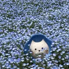 ユーザー画像