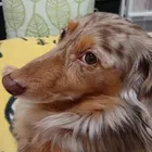 ユーザー画像