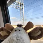 ユーザー画像
