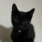 ユーザー画像