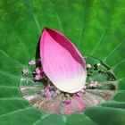 ユーザー画像