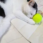 ユーザー画像