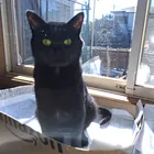 ユーザー画像