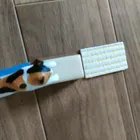 ユーザー画像