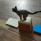 ユーザー画像