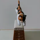 ユーザー画像