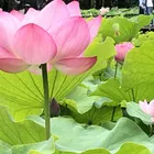 ユーザー画像