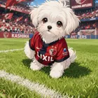 ユーザー画像
