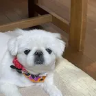 ユーザー画像