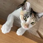 ユーザー画像