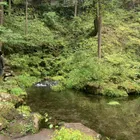 しょぴ