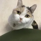 ユーザー画像
