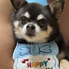 ユーザー画像