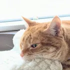ユーザー画像