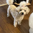 ユーザー画像