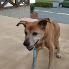 ユーザー画像