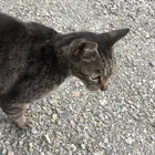 ユーザー画像