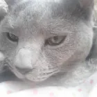ユーザー画像