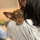 ユーザー画像