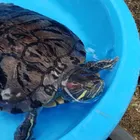 ユーザー画像