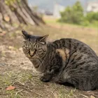 ユーザー画像