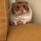ユーザー画像