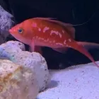 ユーザー画像