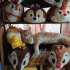 ユーザー画像