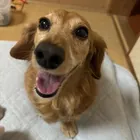 ユーザー画像