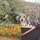 ユーザー画像