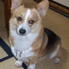 ユーザー画像