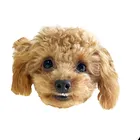ユーザー画像