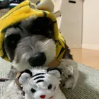 ユーザー画像