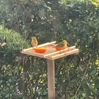 ユーザー画像