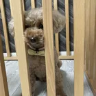 ユーザー画像