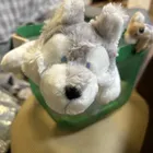 ユーザー画像
