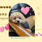 ユーザー画像