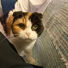 ユーザー画像