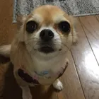 ユーザー画像