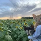 ユーザー画像