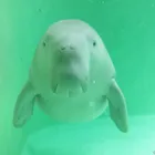 ユーザー画像